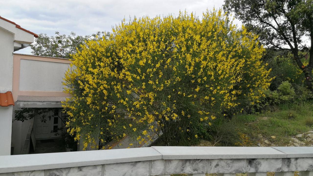 Vila Marija Kampor Esterno foto